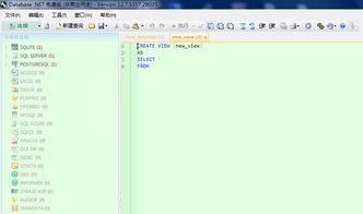軟件開發(fā)與常用工具清單 計算機系統(tǒng)集成服務的實踐指南