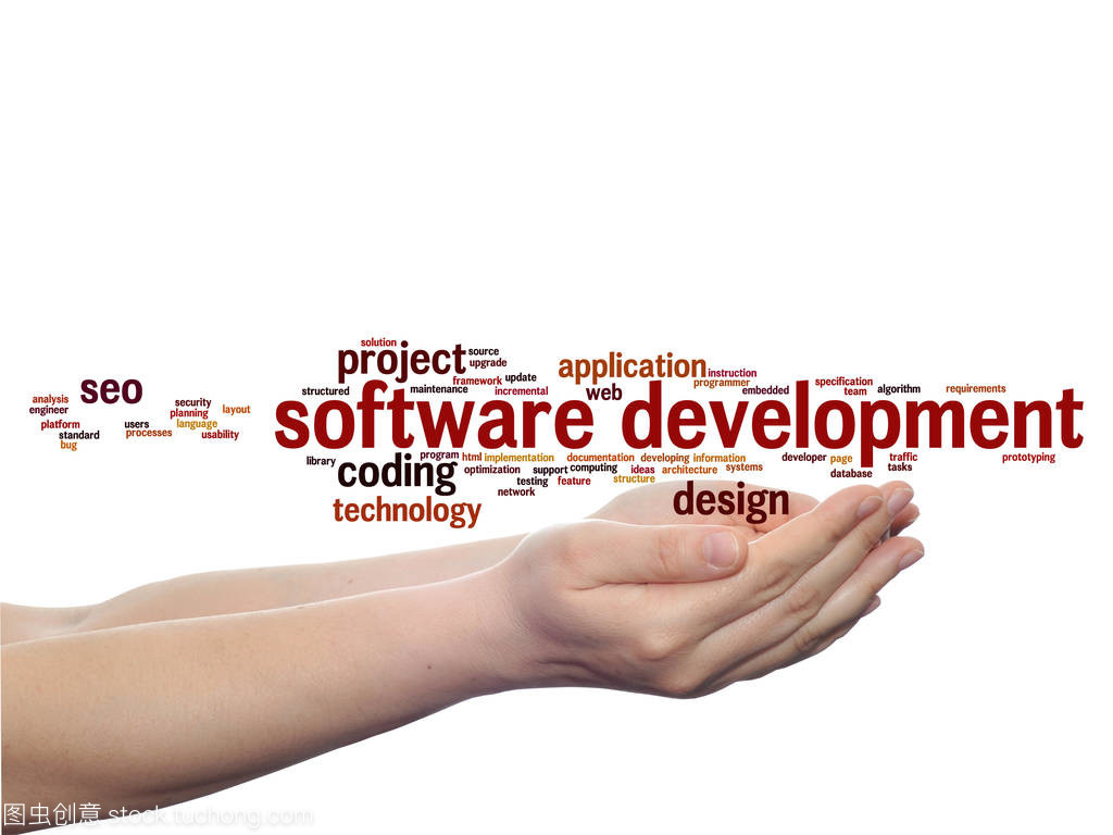 軟件開發(fā)項目中的計算機系統(tǒng)集成服務